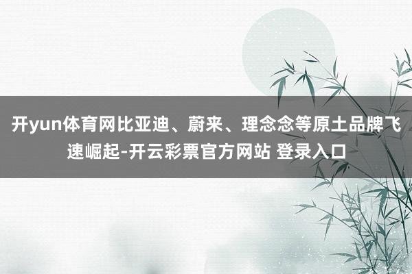 开yun体育网比亚迪、蔚来、理念念等原土品牌飞速崛起-开云彩票官方网站 登录入口